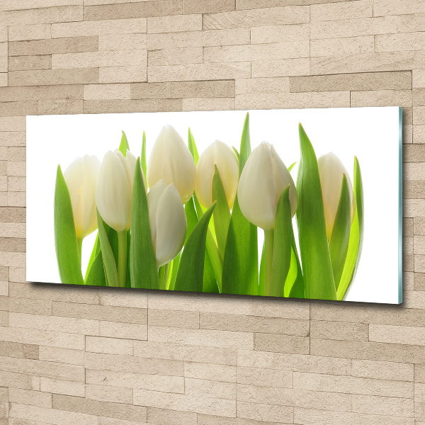 Foto plexiglas Tulpen
