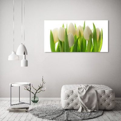 Foto plexiglas Tulpen