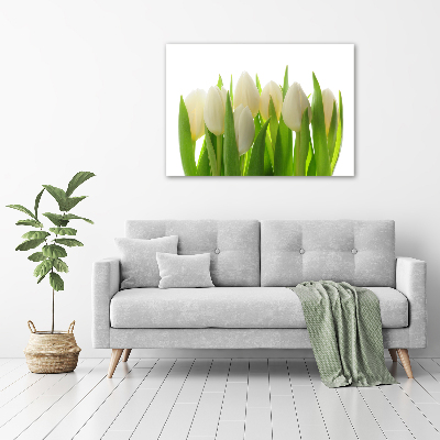Foto plexiglas Tulpen