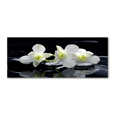 Schilderij op acrylglas Orchidee