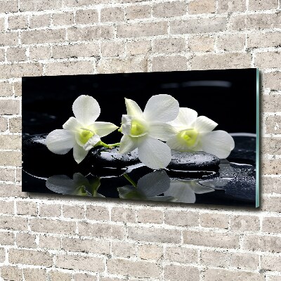Schilderij op acrylglas Orchidee