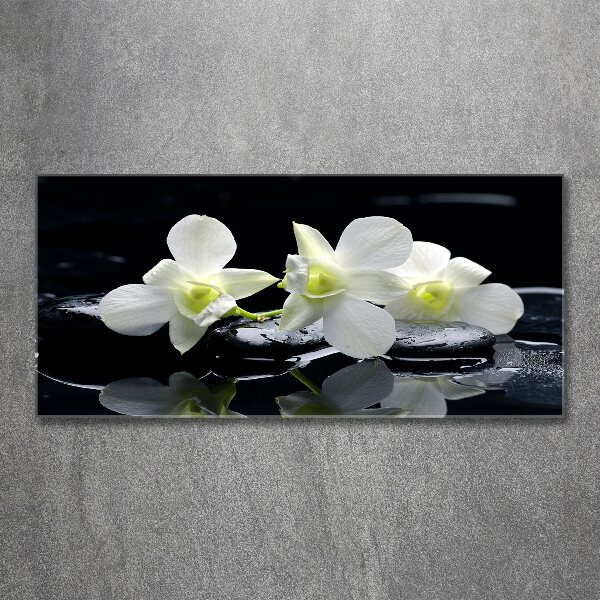 Schilderij op acrylglas Orchidee