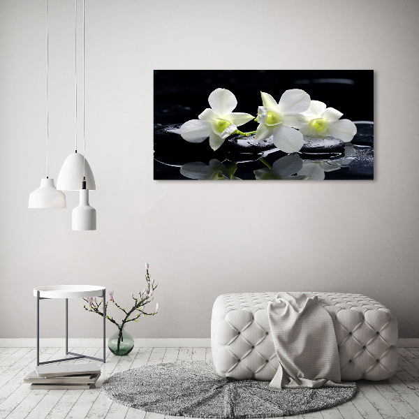 Schilderij op acrylglas Orchidee
