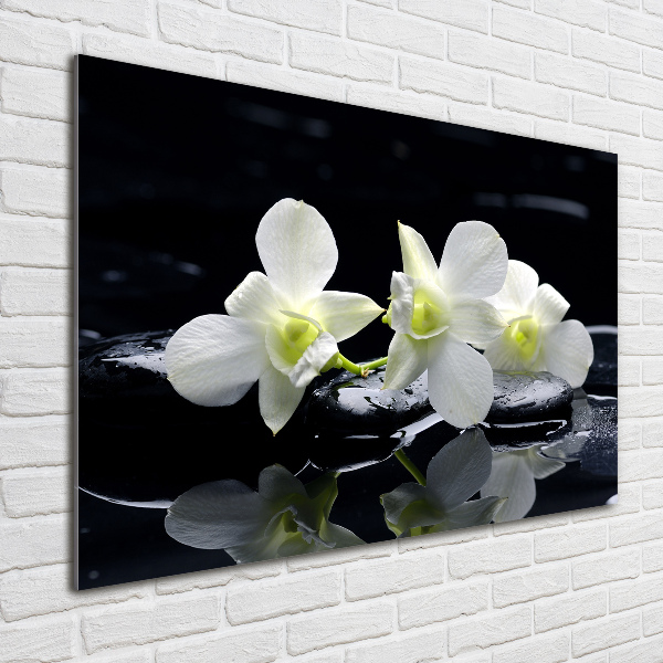 Schilderij op acrylglas Orchidee