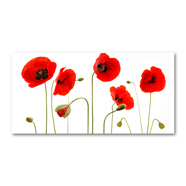 Obraz zdjęcie na scianę pleksi Maki