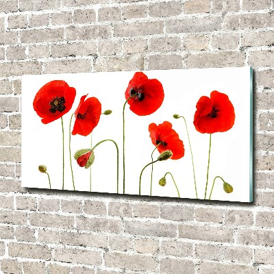 Obraz zdjęcie na scianę pleksi Maki