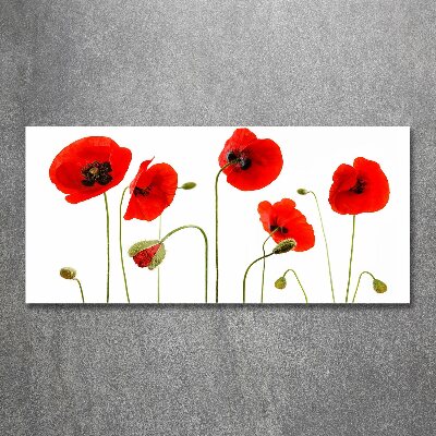 Schilderij op acrylglas Klaprozen