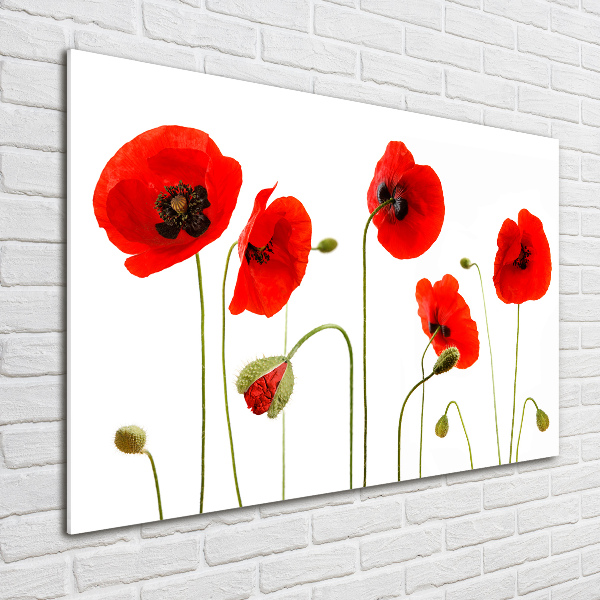 Schilderij op acrylglas Klaprozen