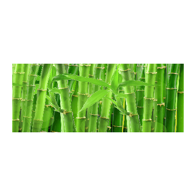 Obraz zdjęcie na scianę pleksi Bambusy