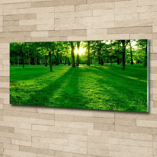 Foto plexiglas Gras in het park