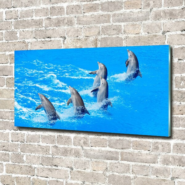 Schilderij op acrylglas Dolfijnen