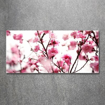 Obraz zdjęcie szkło akryl Kwiat śliwki