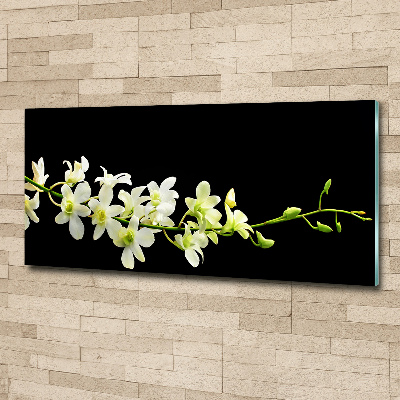 Plexiglas schilderij Orchidee