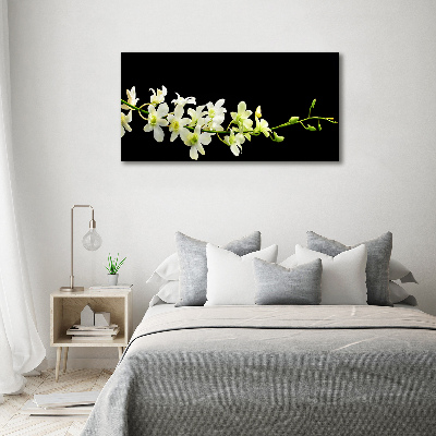 Plexiglas schilderij Orchidee