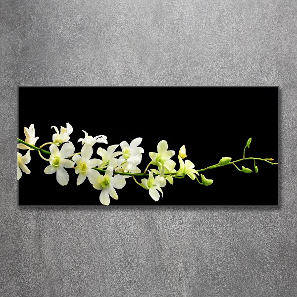 Plexiglas schilderij Orchidee