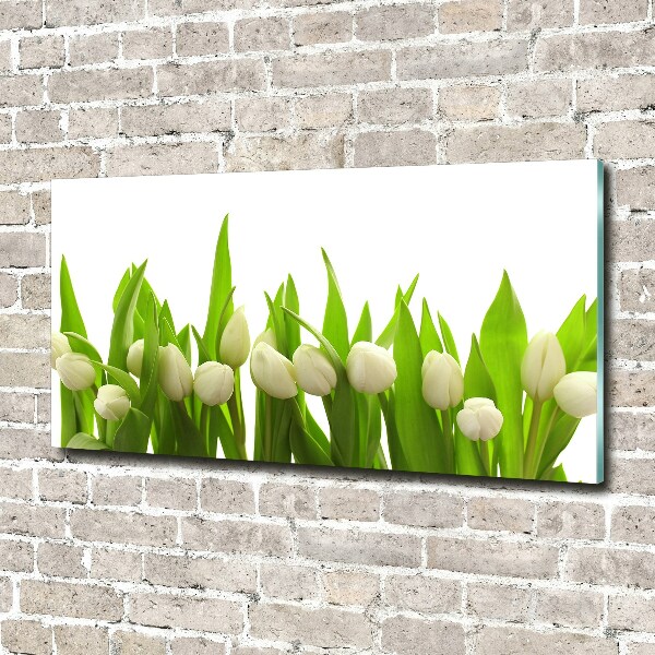 Foto op plexiglas Witte tulpen