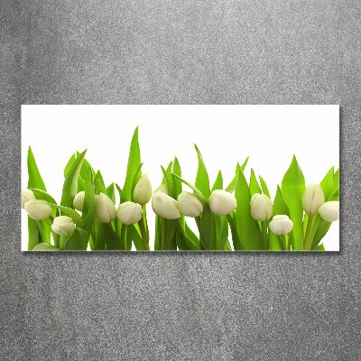 Foto op plexiglas Witte tulpen