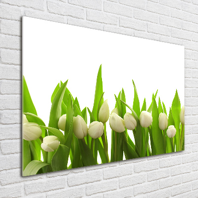 Foto op plexiglas Witte tulpen