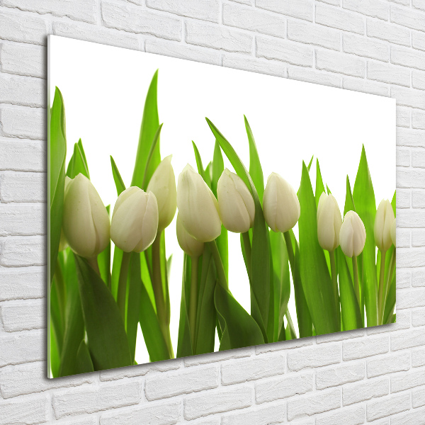 Plexiglas foto Witte tulpen