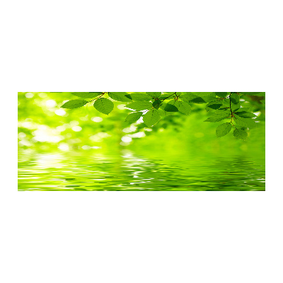 Foto plexiglas Groene bladeren