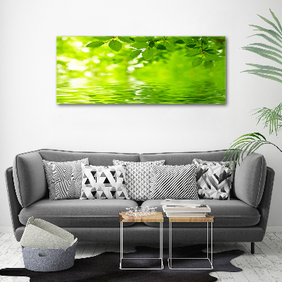 Foto plexiglas Groene bladeren