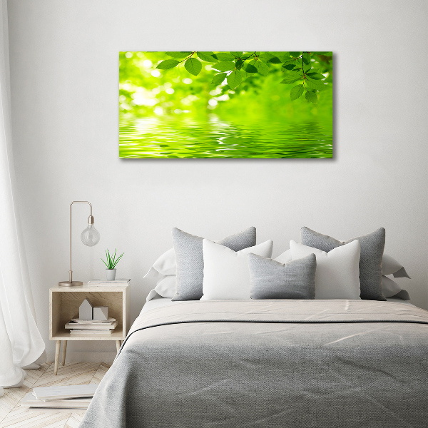 Foto plexiglas Groene bladeren
