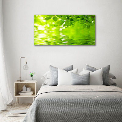 Foto plexiglas Groene bladeren