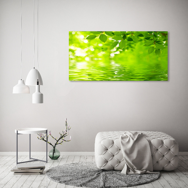 Foto plexiglas Groene bladeren