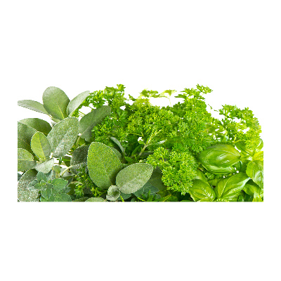 Foto op plexiglas Kruiden