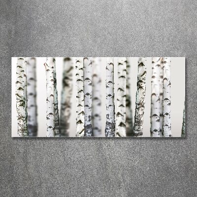 Plexiglas schilderij Berkenstammen