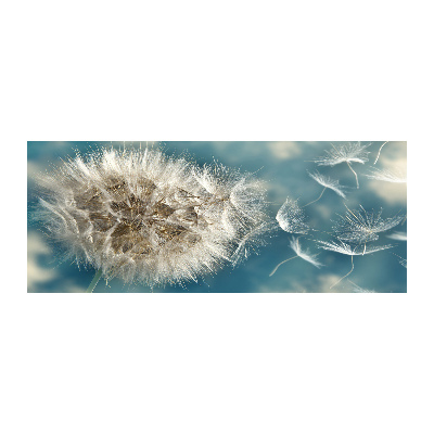 Foto plexiglas Paardenbloemen