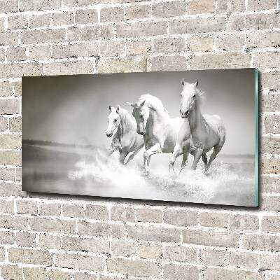 Schilderij op acrylglas Witte paarden