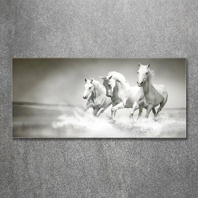 Schilderij op acrylglas Witte paarden