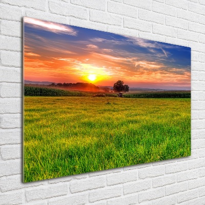 Schilderij op acrylglas Zonsondergangweide