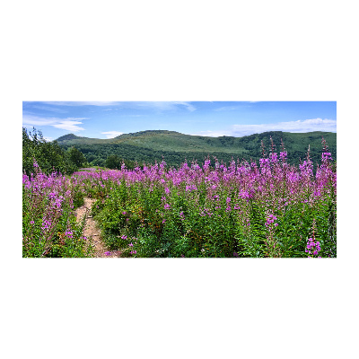 Foto obraz szkło akryl Zielone wzgórza