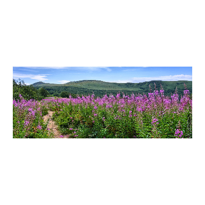 Foto obraz szkło akryl Zielone wzgórza