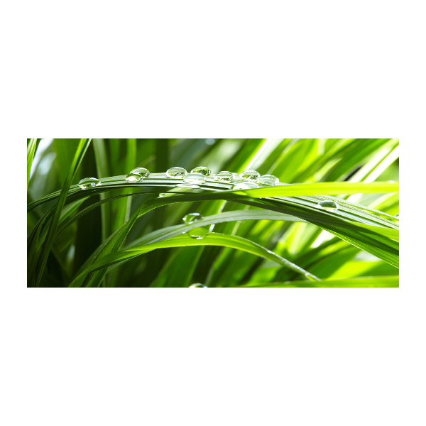 Foto in plexiglas Druppels op het gras