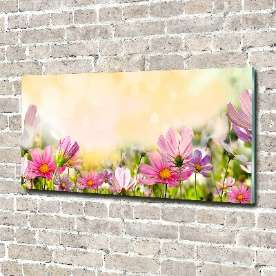 Schilderij op acrylglas Klaprozen