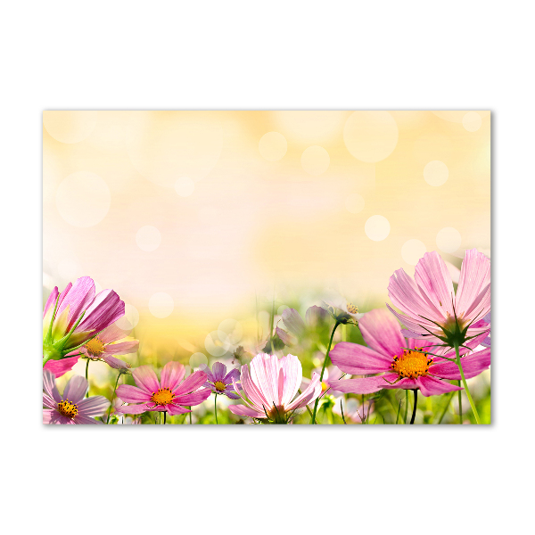 Schilderij op acrylglas Klaprozen