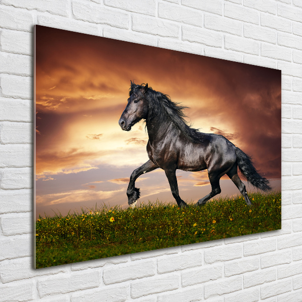 Foto op plexiglas Dravend paard