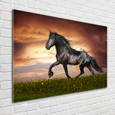 Foto op plexiglas Dravend paard
