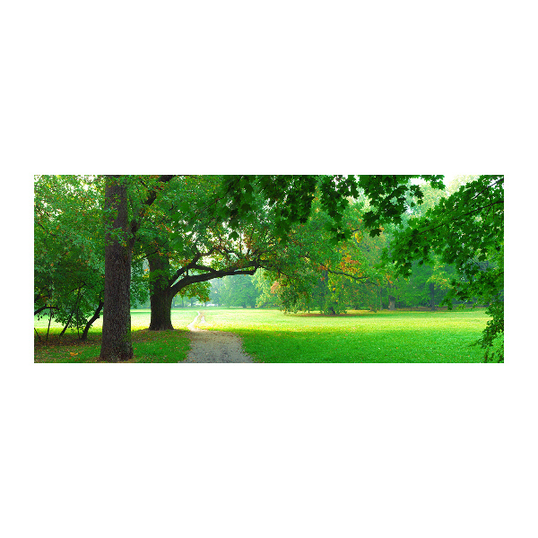 Plexiglas foto Park in de herfst