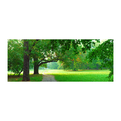 Obraz zdjęcie szkło akryl Park jesienią