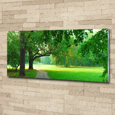 Plexiglas foto Park in de herfst