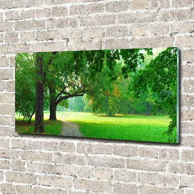 Obraz zdjęcie szkło akryl Park jesienią