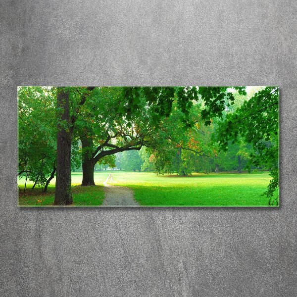 Plexiglas foto Park in de herfst