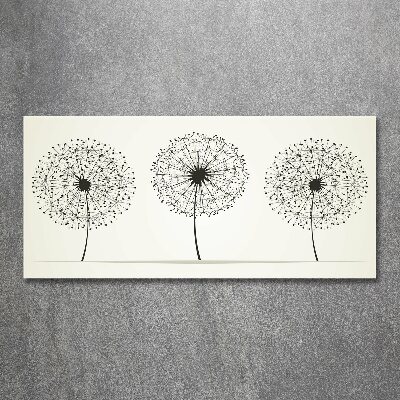 Obraz zdjęcie na ścianę akryl Dmuchawce