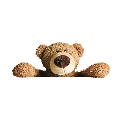 Plexiglas schilderij Teddybeer