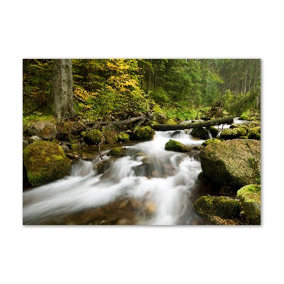 Foto in plexiglas Olczyski-stroom