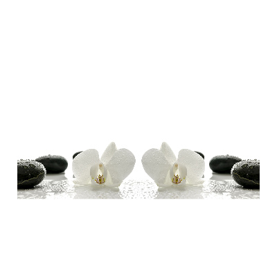 Foto in plexiglas Orchidee